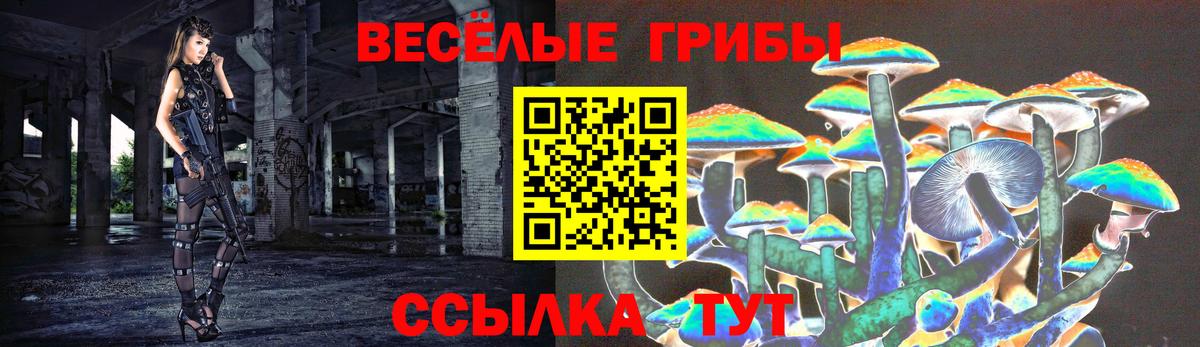 Псилоцибиновые грибы MAGIC MUSHROOMS  Вход с VPN  Родники 