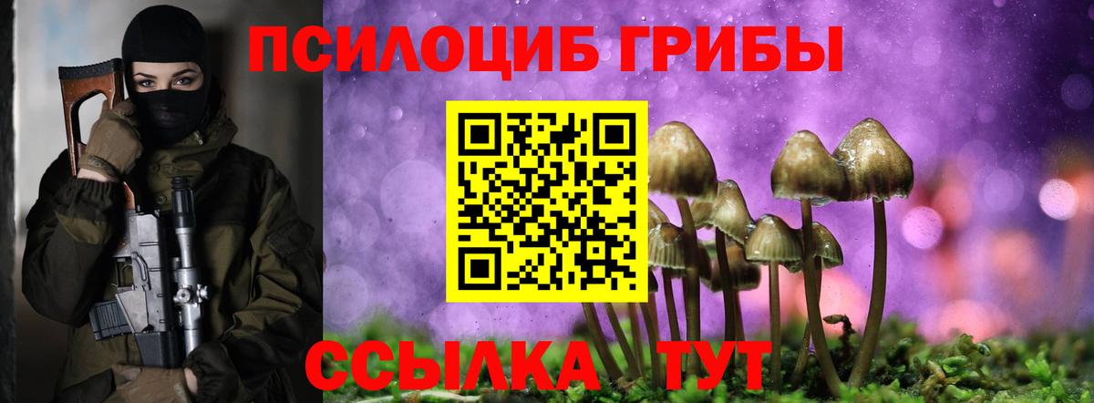 Псилоцибиновые грибы MAGIC MUSHROOMS Родники
