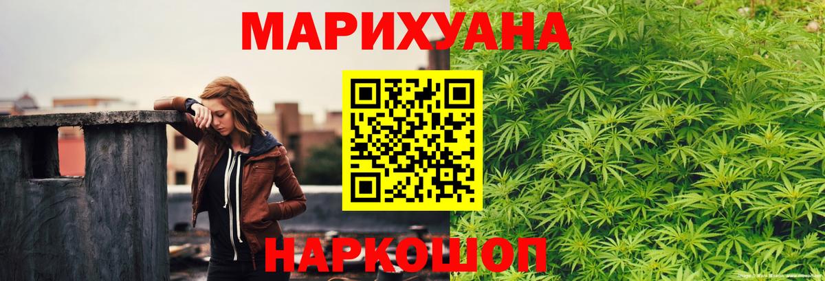 Марихуана сатива Родники